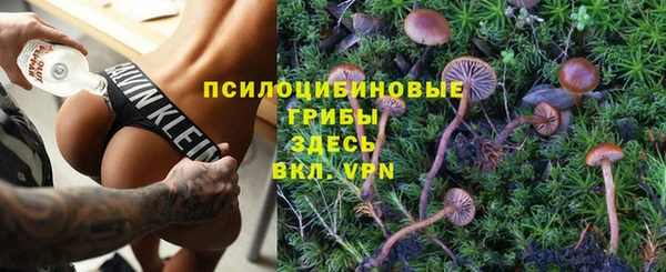 а пвп мука Алзамай