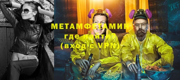 шишки Абаза