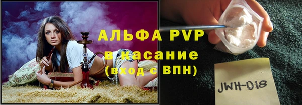 шишки Абаза