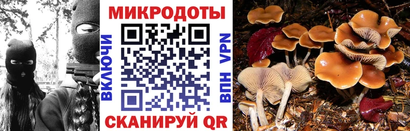Галлюциногенные грибы Cubensis  Новочебоксарск 