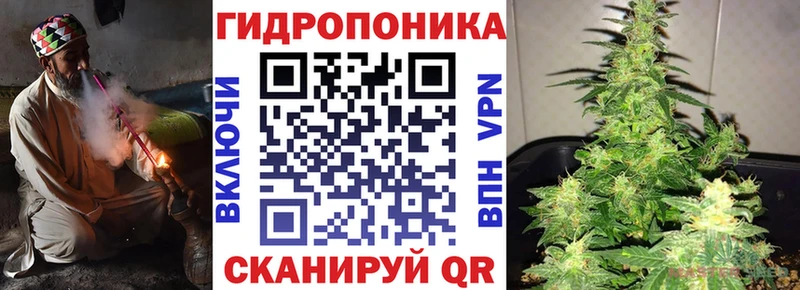 Каннабис конопля  Новочебоксарск 